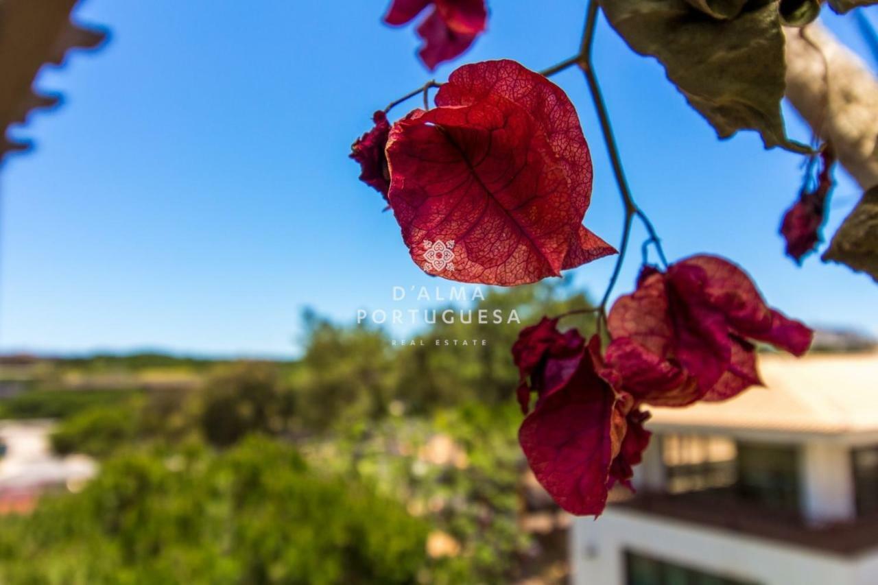 D'Alma Falesia Beach Apartment - By Dalma Portuguesa Albufeira Eksteriør bilde